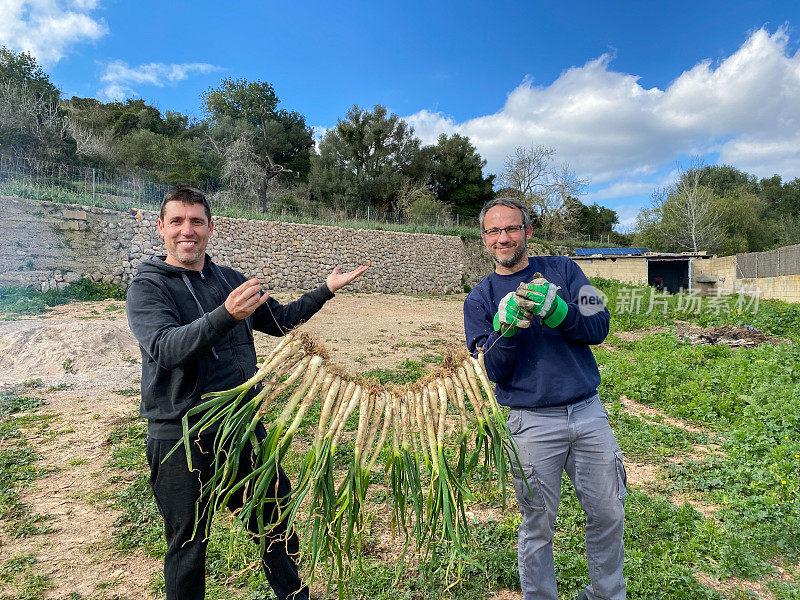 Two men preparing  ‘calçots’ for grilling over a hot fire at home